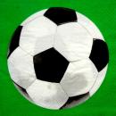 021 Sport: Fußball - 3-ply